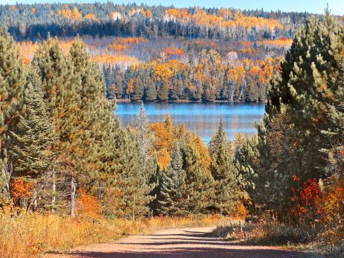 autumn road wilderness