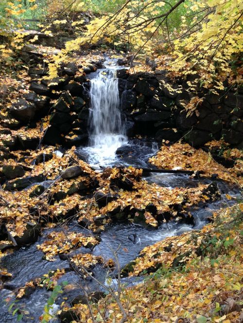 autumn waterfall water