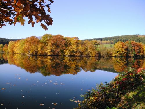 autumn lake fall foliage