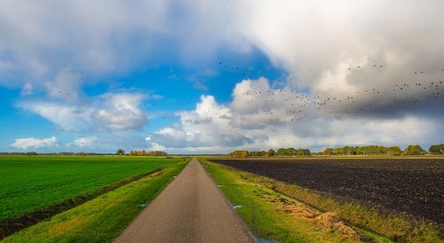 autumn fall sky