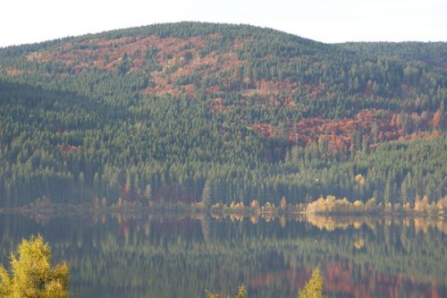 autumn lake black forest