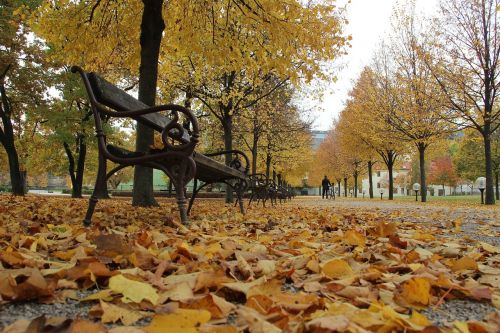 autumn leaf country