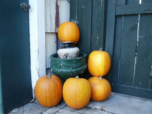 autumn november pumpkin