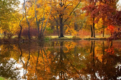 autumn pond park