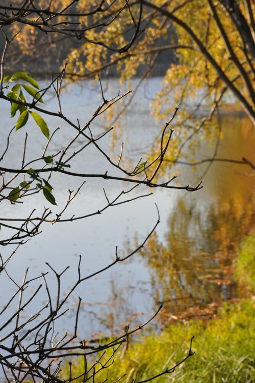 autumn foliage lake