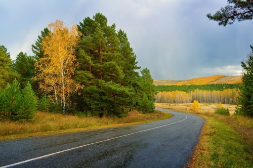 autumn asphalt road