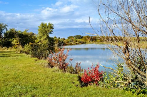 autumn background landscape