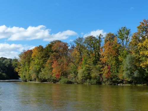 autumn isar forest