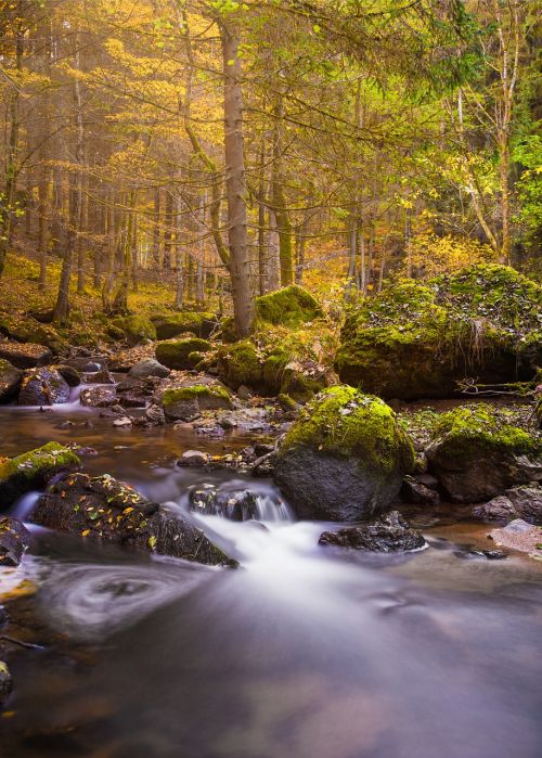 autumn waterfall long exposure