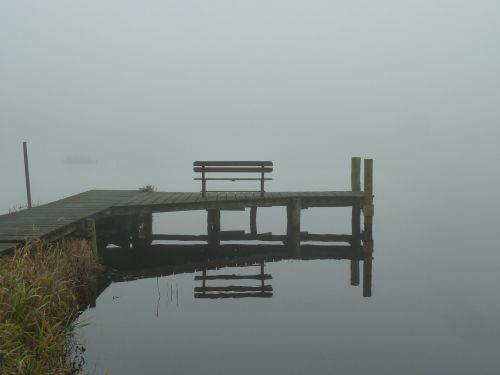 autumn fog bank