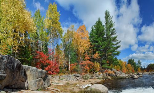 autumn fall colors