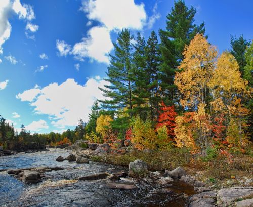 autumn fall colors