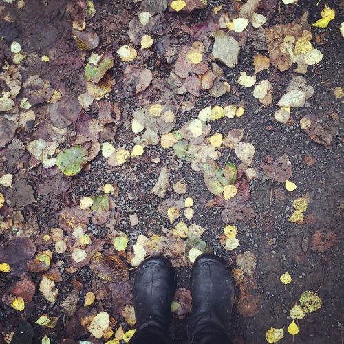 autumn fall boots