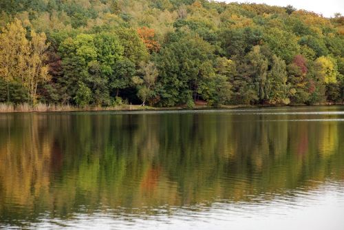 autumn potsdam lake