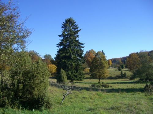 autumn härtsfeld colorful