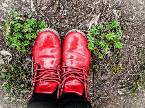 autumn autumn shoes grass