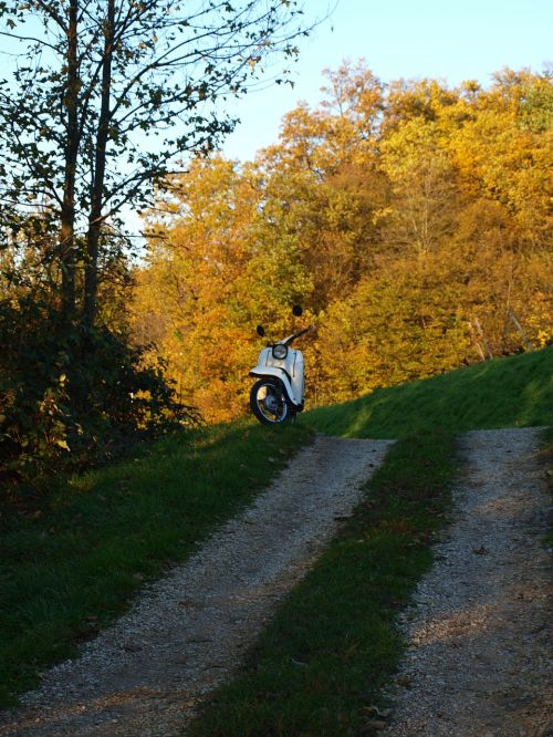 autumn away roller