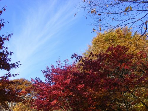 autumn sky