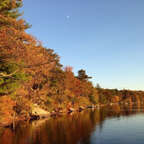 autumn lake landscape