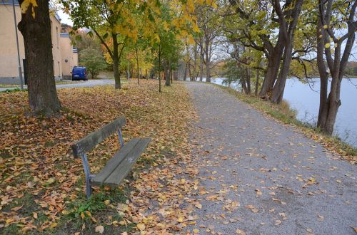 autumn lake stockholm