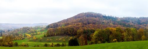 autumn landscape forest