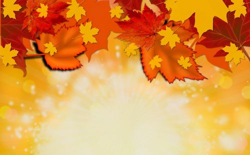 autumn fall background