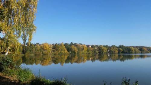 autumn lake birch