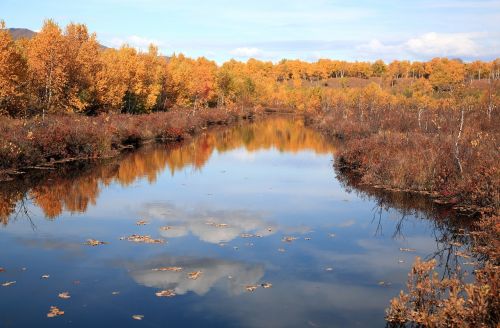 autumn forest lake