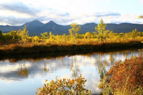 autumn forest lake