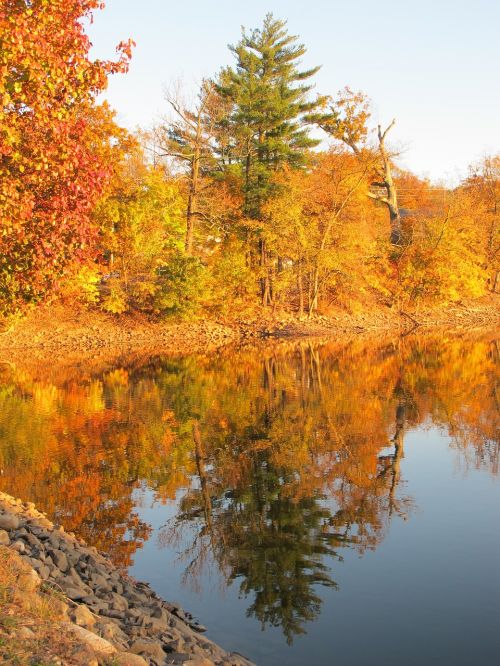 autumn reflection landscape