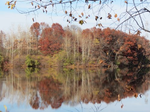 autumn landscape lake