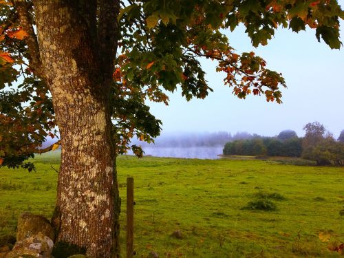 autumn himmel lake