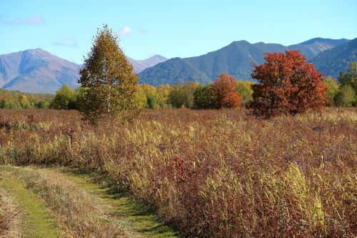 autumn mountains forest