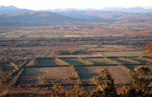 autumn fields harvest