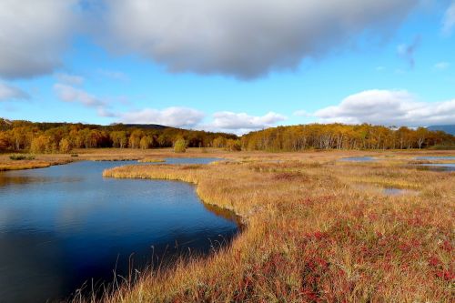 autumn lake forest