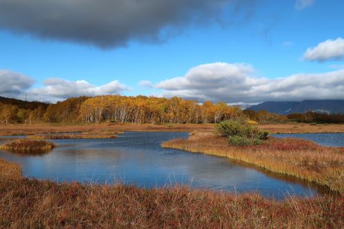 autumn lake forest