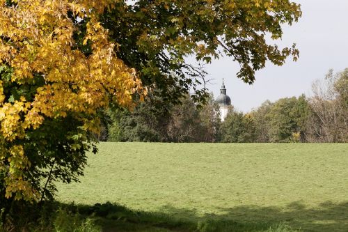 autumn meadow mowed