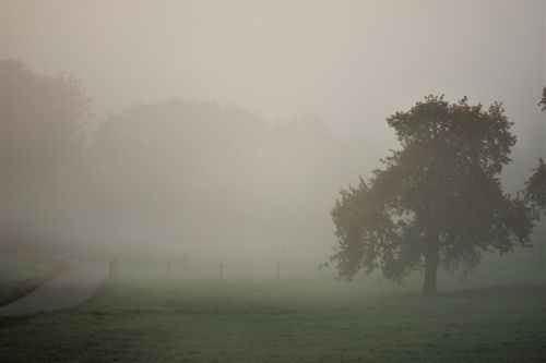 autumn landscape fog