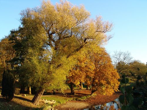 autumn nature mood