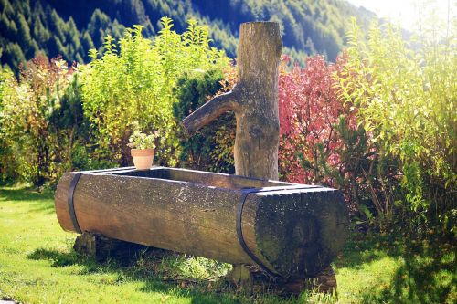 autumn fountain tree