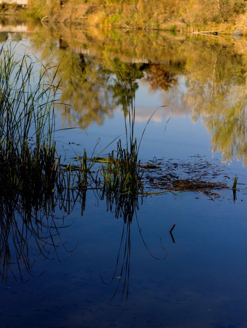 autumn river reflection