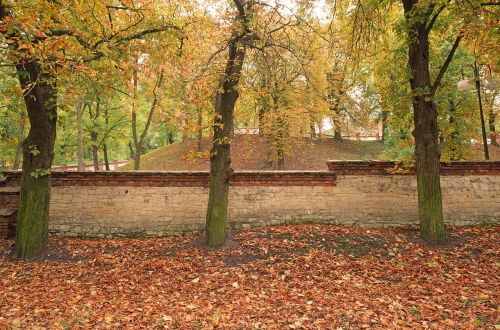 autumn foliage lake dusia