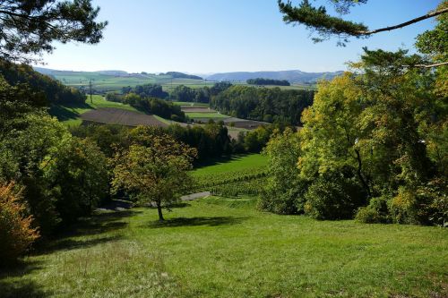 autumn meadow nature