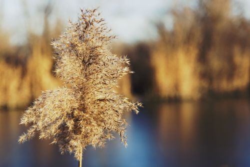 autumn background beautiful