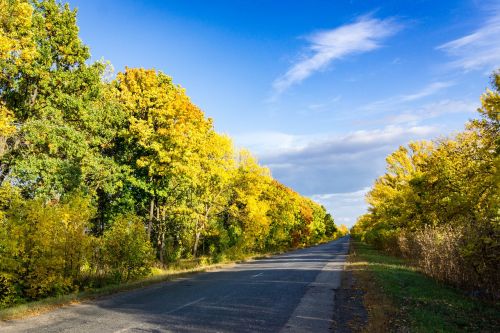 autumn paint road