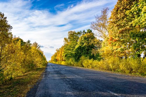 autumn color road