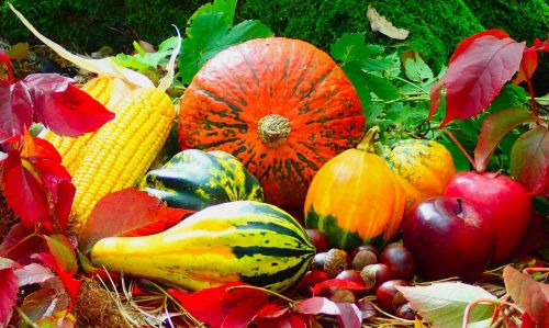 autumn fruits assorted