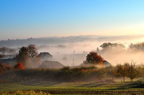 autumn the fog morning