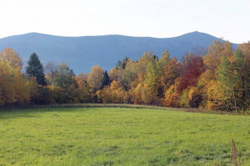 autumn landscape colors