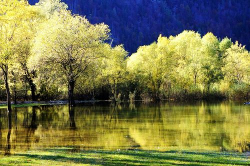 autumn reflections lake